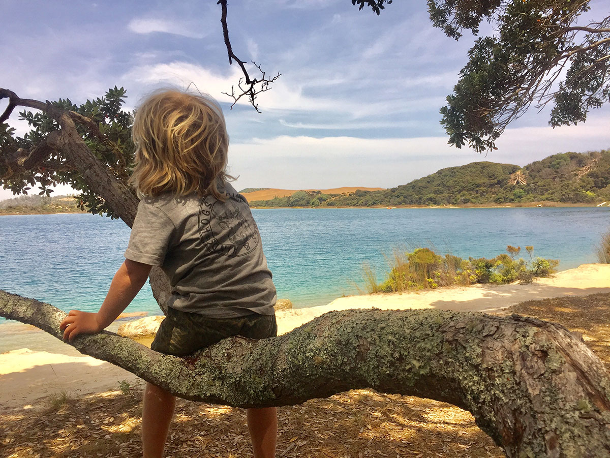 childrens wear nz childrens wear nz